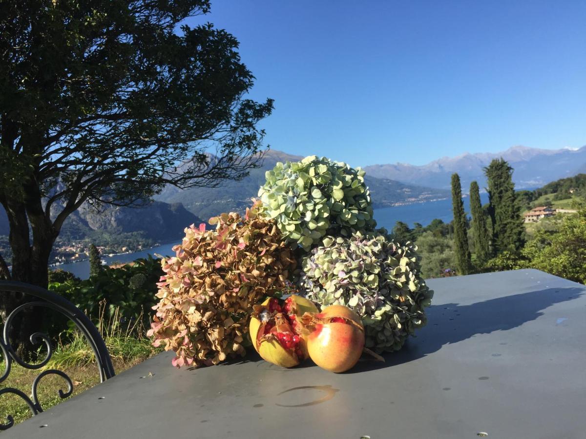 Aparthotel Il Poggio Di