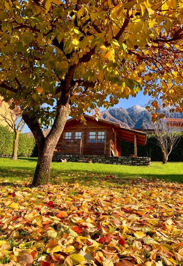 Casa Amalia - Molino Maufet Muhle - Lake View Loft Colico