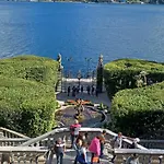 Luminoso Tra I Rami Del Lago Di Como, Sormano