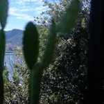 Veranda Lake View