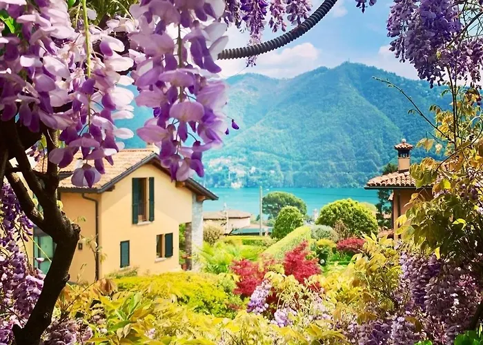 Perfect Point Como