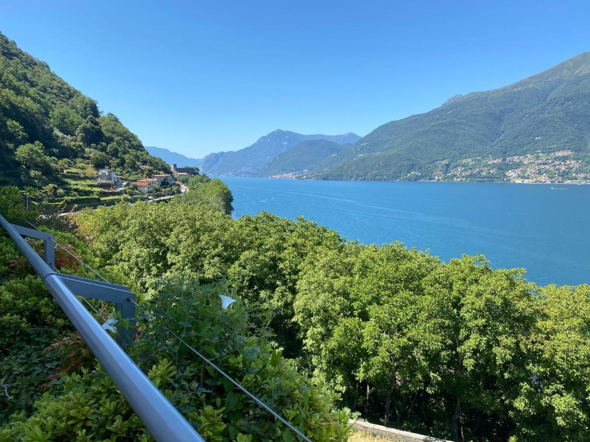 Il Poggio