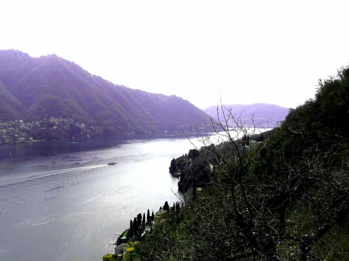 Casa Azzurra Vista Lago Dani * Moltrasio