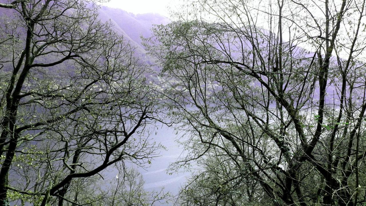Casa Azzurra Vista Lago Dani Moltrasio
