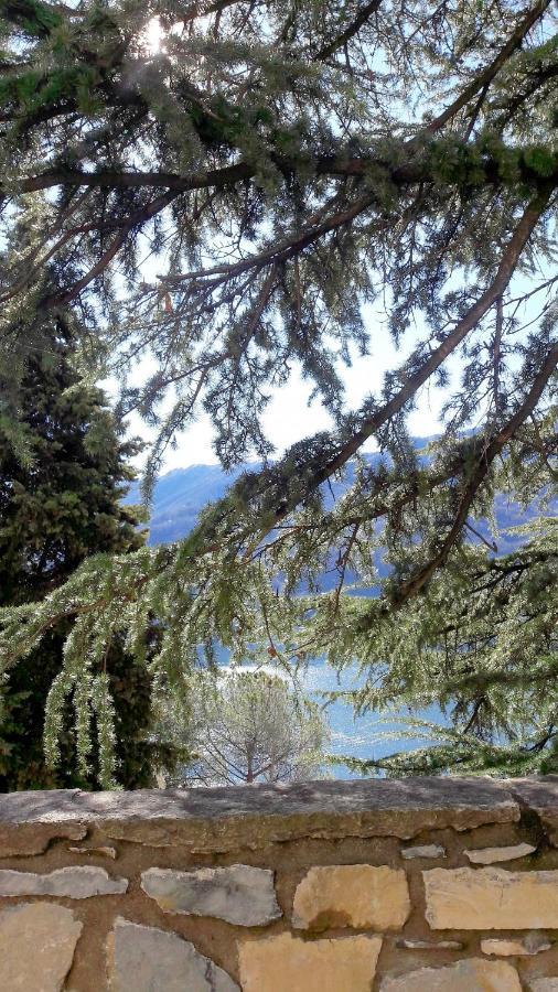 Casa Azzurra Vista Lago Dani Moltrasio