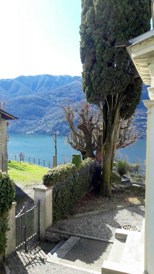 Apartment Casa Azzurra Vista Lago Dani