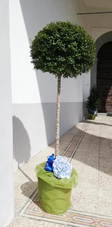 Guest house Residenza Santa Valeria *