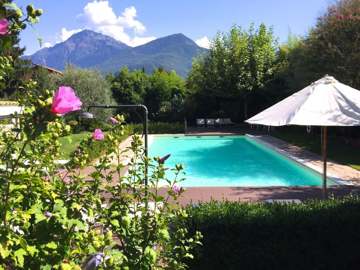 Abies Di Appartamento Dongo