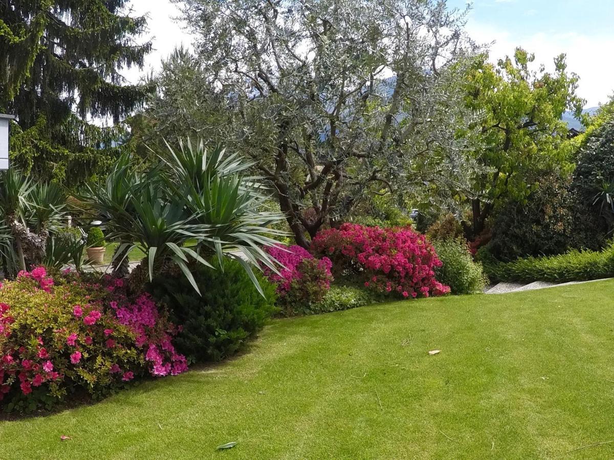 Appartamento Abies Di Dongo