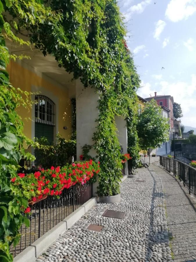Viewtiful Homestay * Stazzona