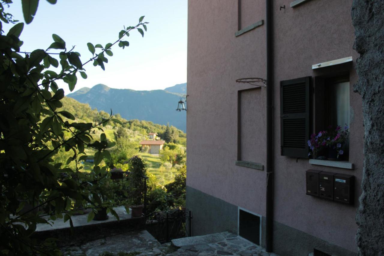 Alkemika Alkova Spazio Artistico Rurale Apartment