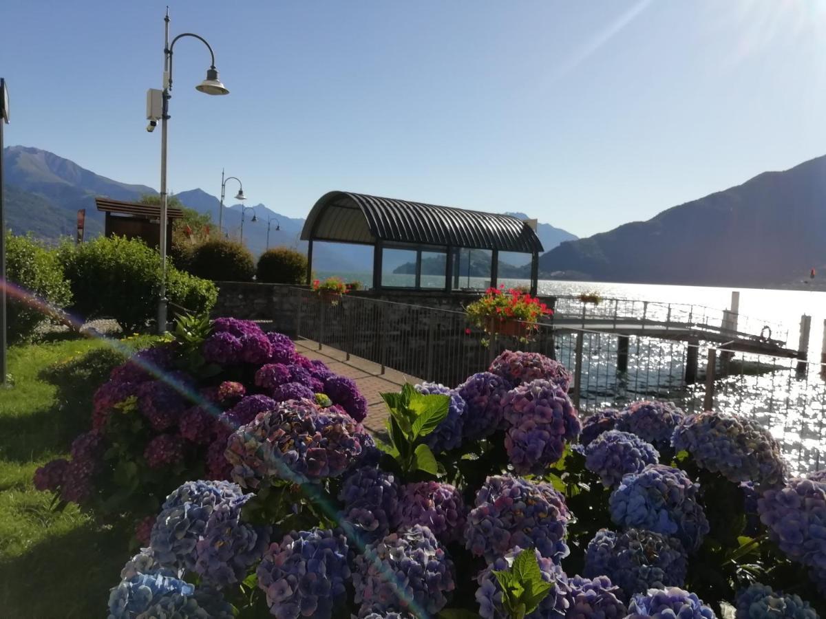 Apartment Viewtiful Homestay