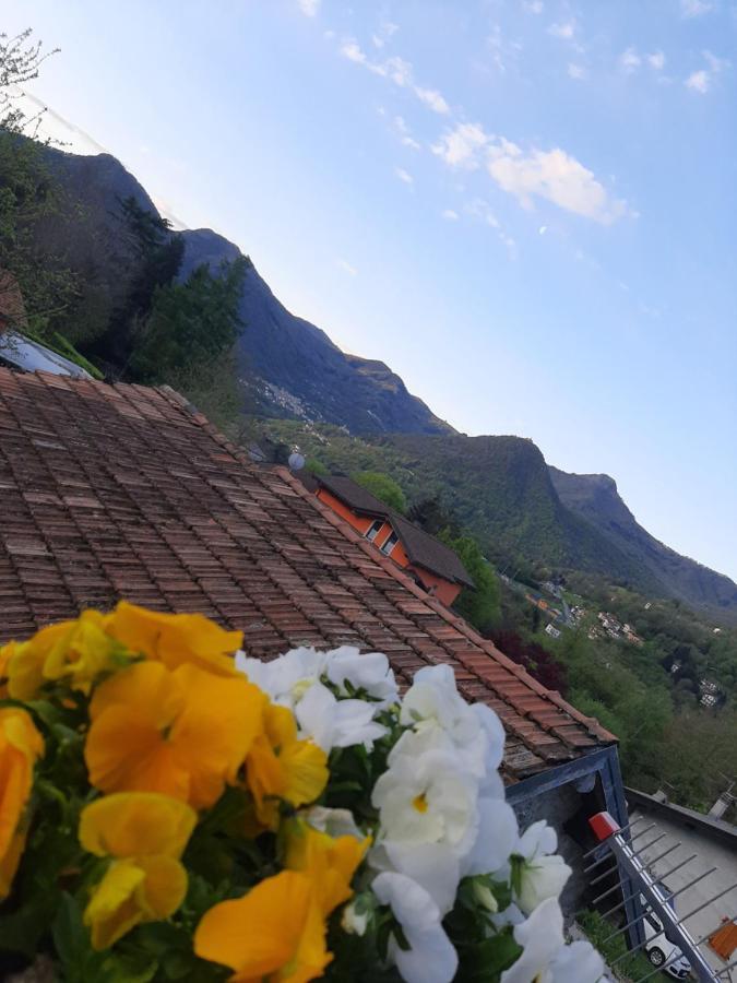 Vicino A Me Casa vacanze
