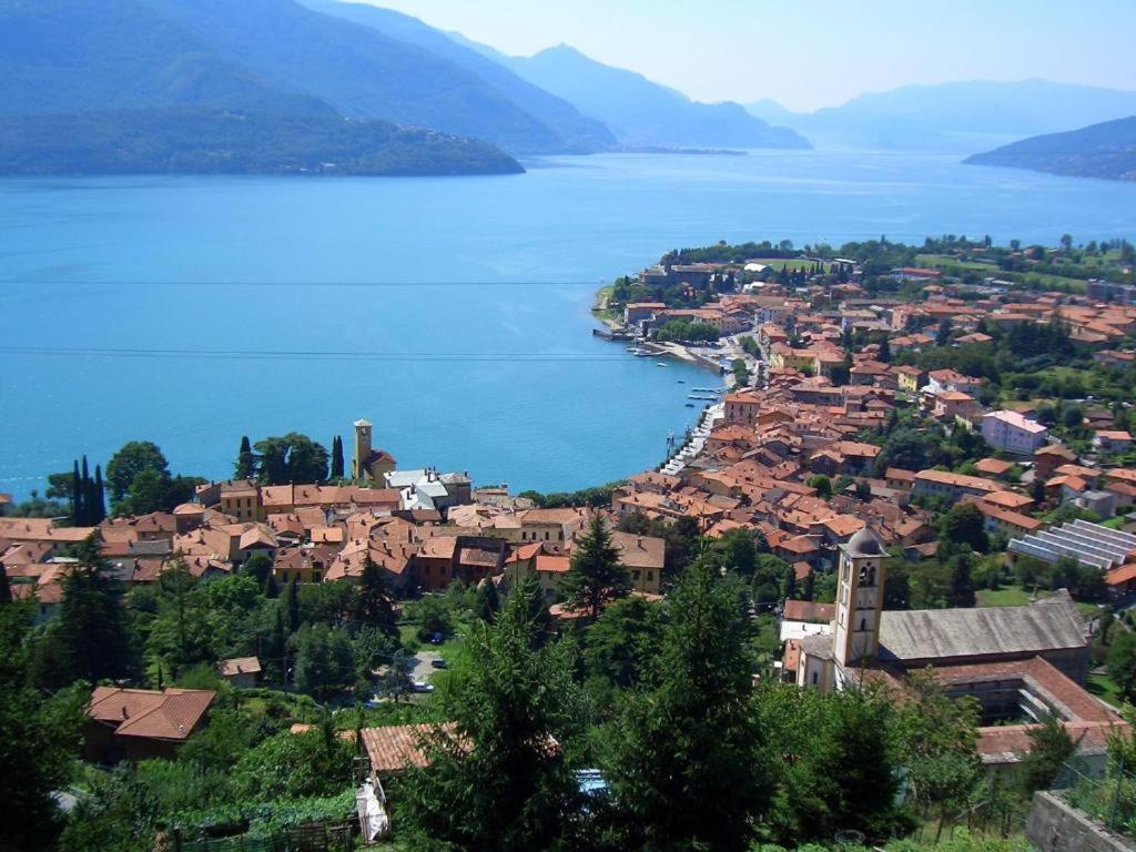 Trebbiano