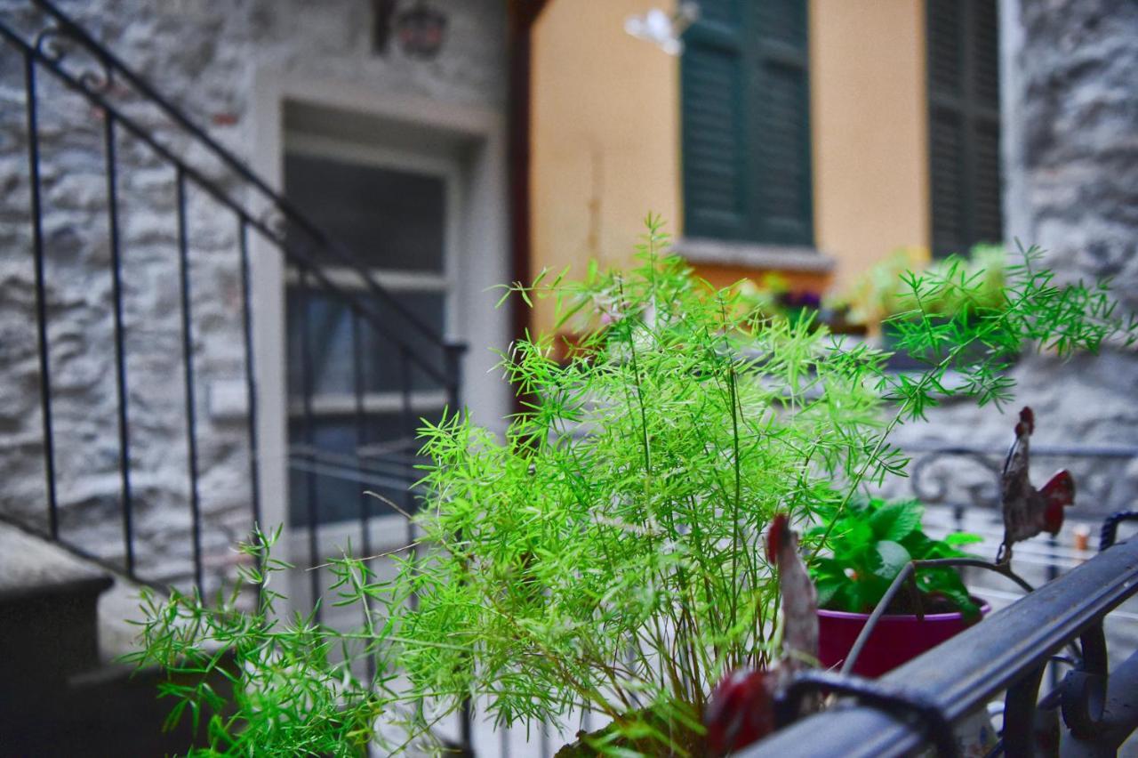 Easy Welcome Ca' Del Pepoto Apartment Bellagio