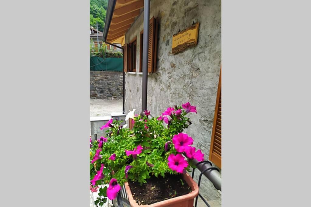 La Casa Dei Miei Nonni Tra Montagne E Lago Holiday home