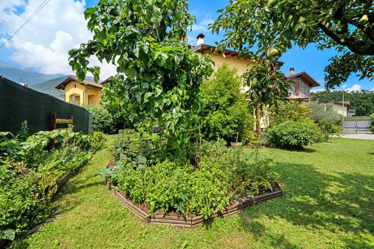 Apartment La Pergola *