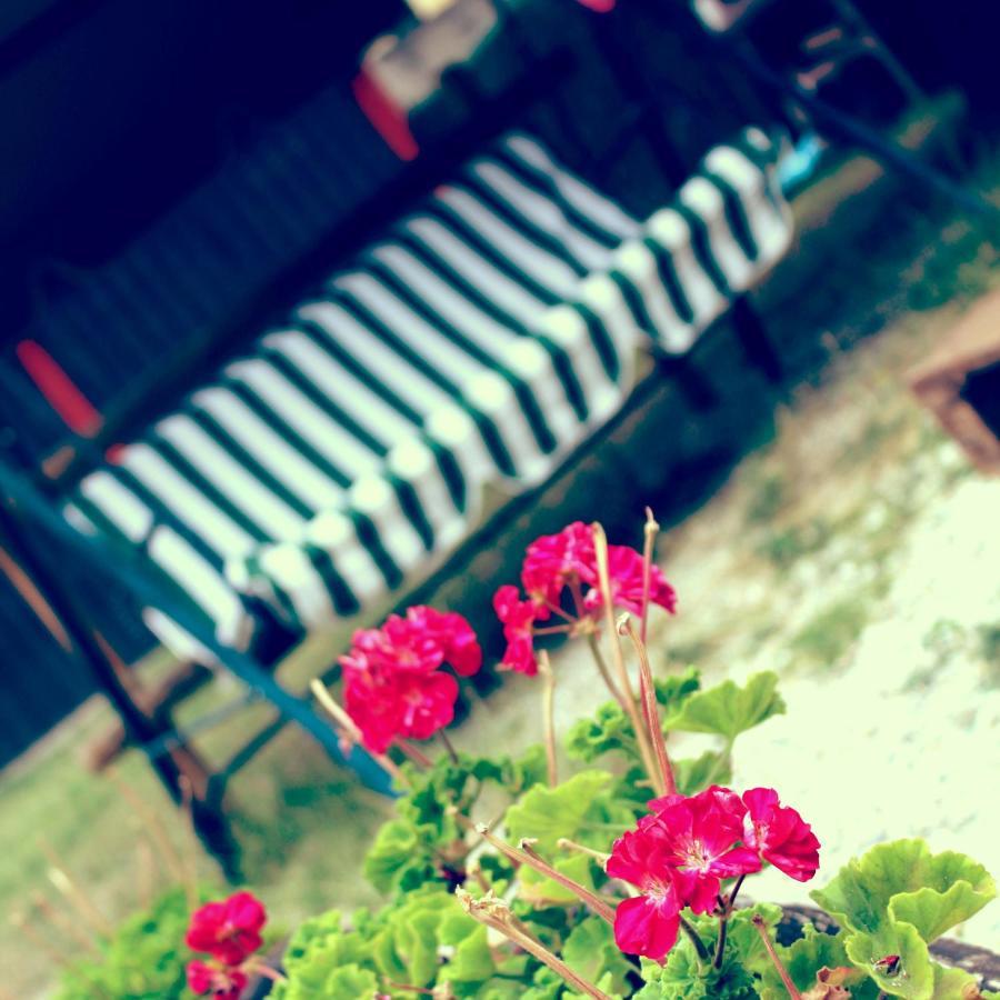 Bed & Breakfast Red House