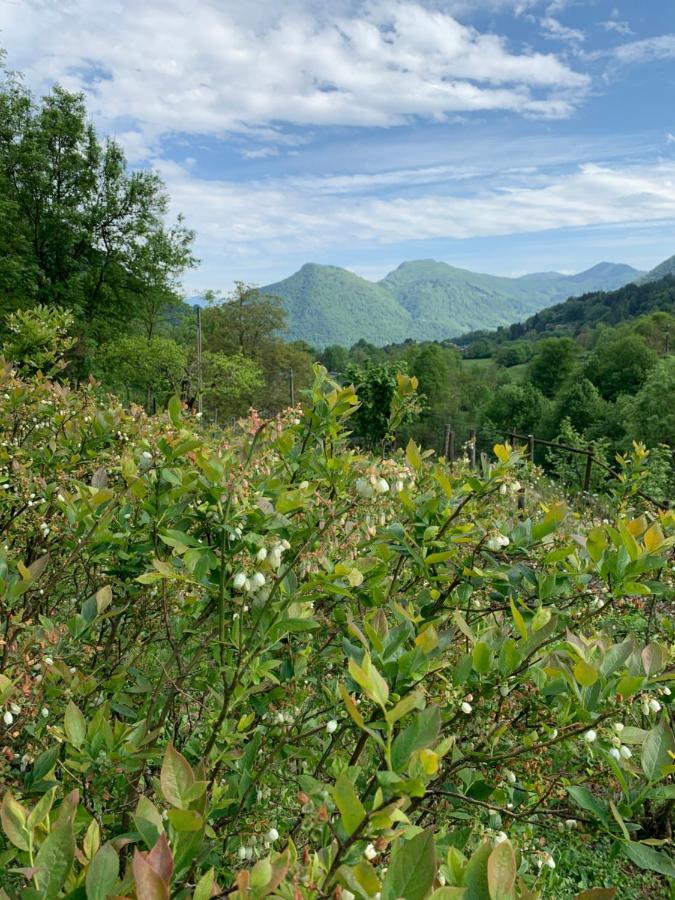 Alloggio per agriturismo Il Talento Nella Quiete