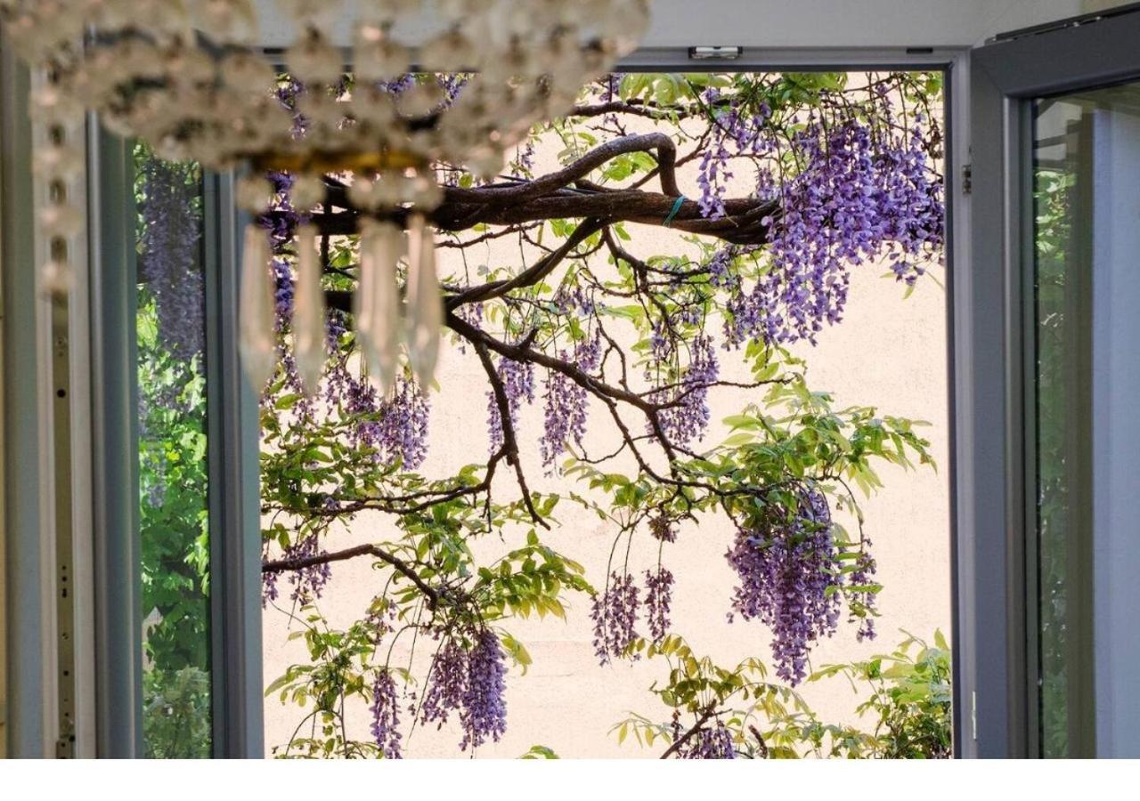 Apartment Wisteria House