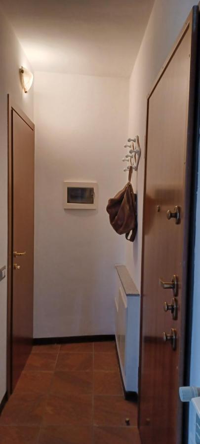 Apartment Luminoso Tra I Rami Del Lago Di Como, *
