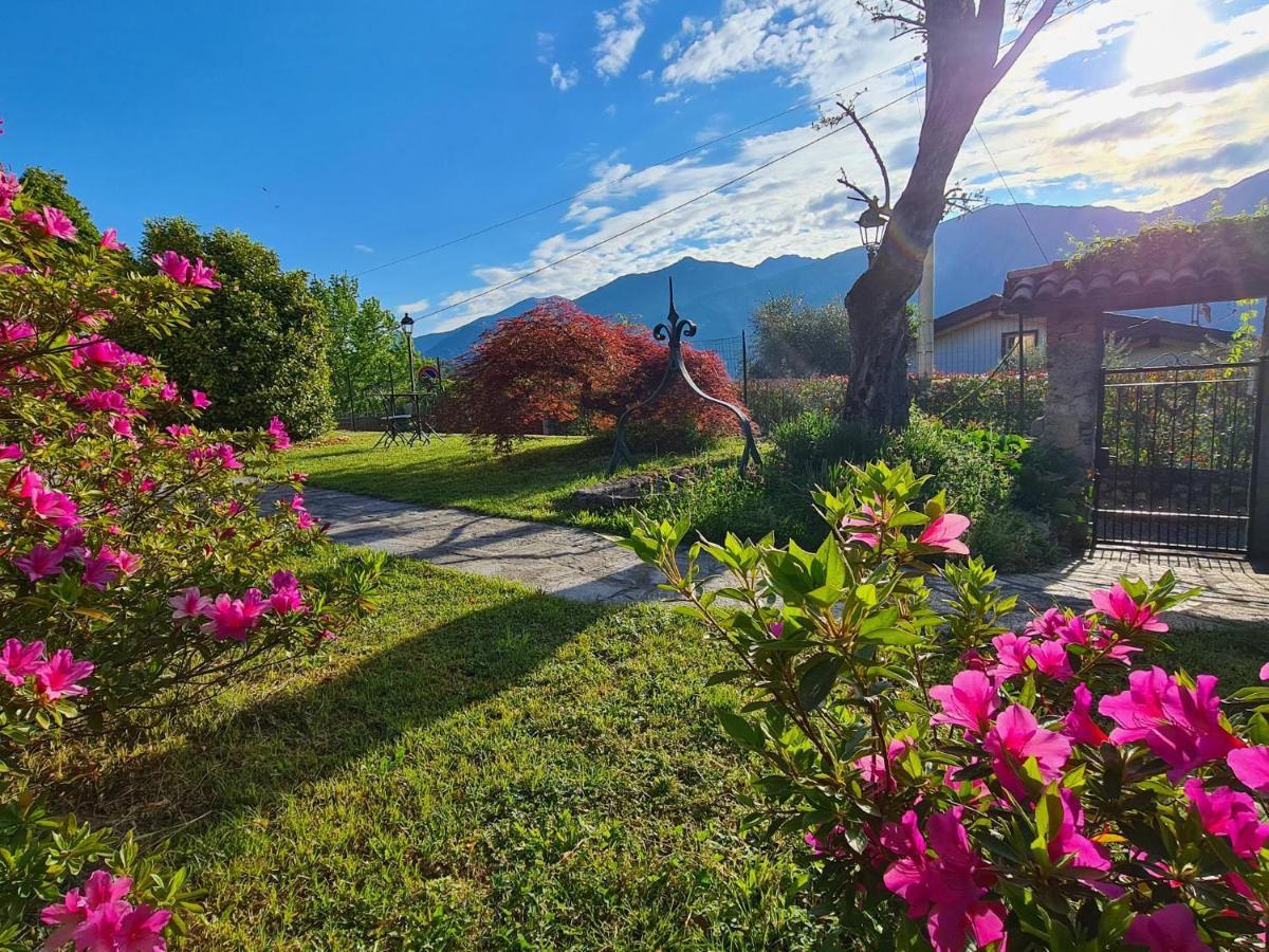 Aparthotel Casa La Rosa
