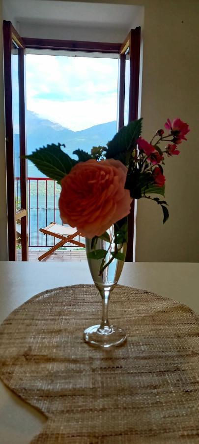 Viewtiful Homestay Apartment
