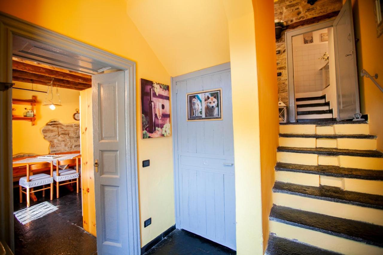Casa Di Momo * Carate Urio
