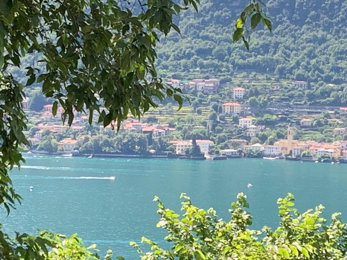 Casa Dono Il Lago Pognana Lario