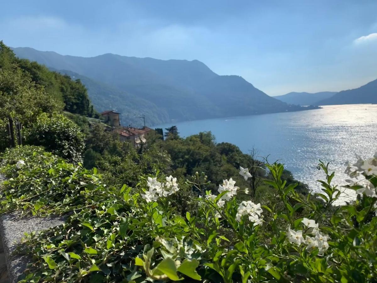 Casa Dono Il Lago Apartment *