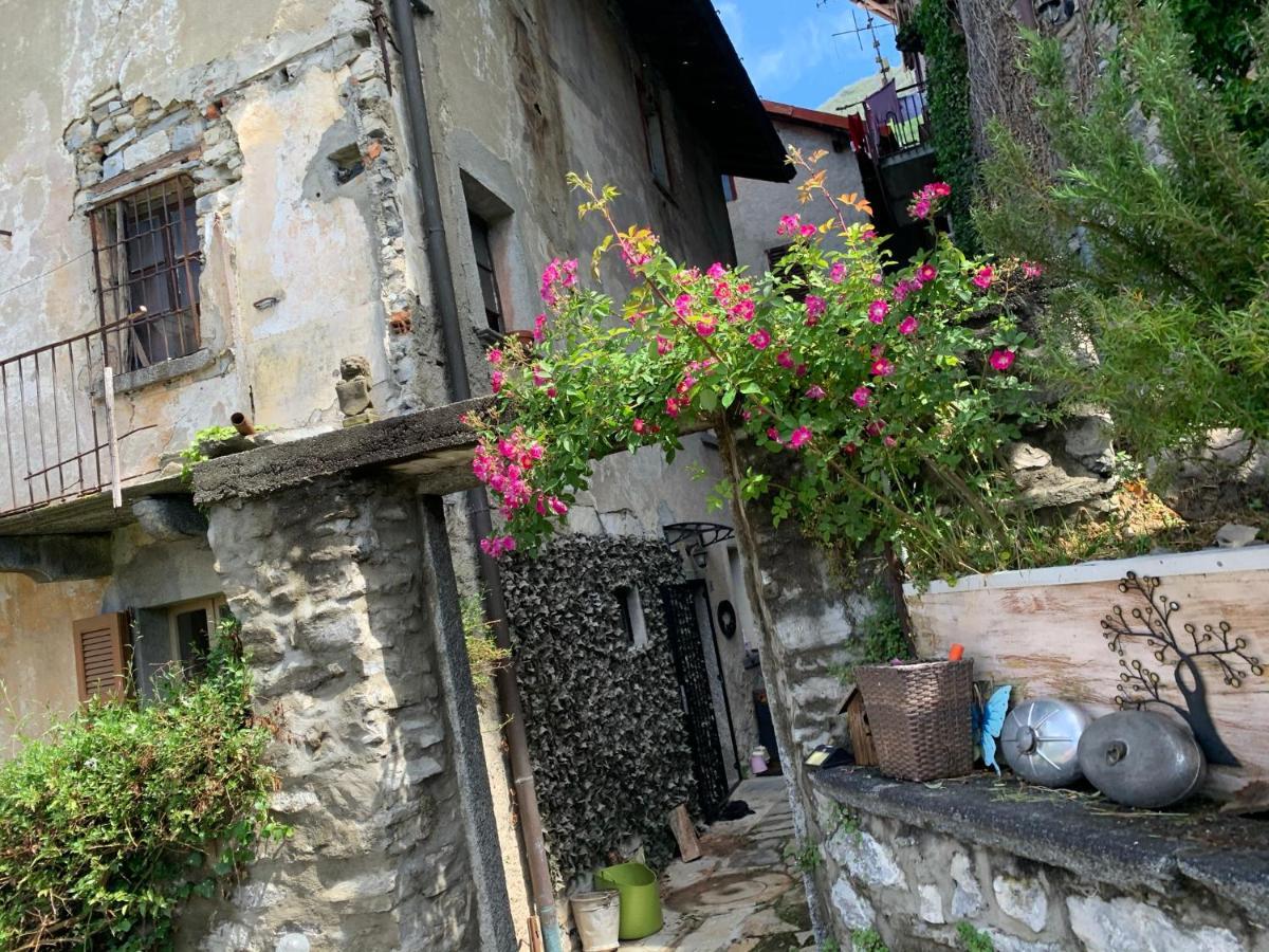 Apartment Casa Dono Il Lago Pognana Lario
