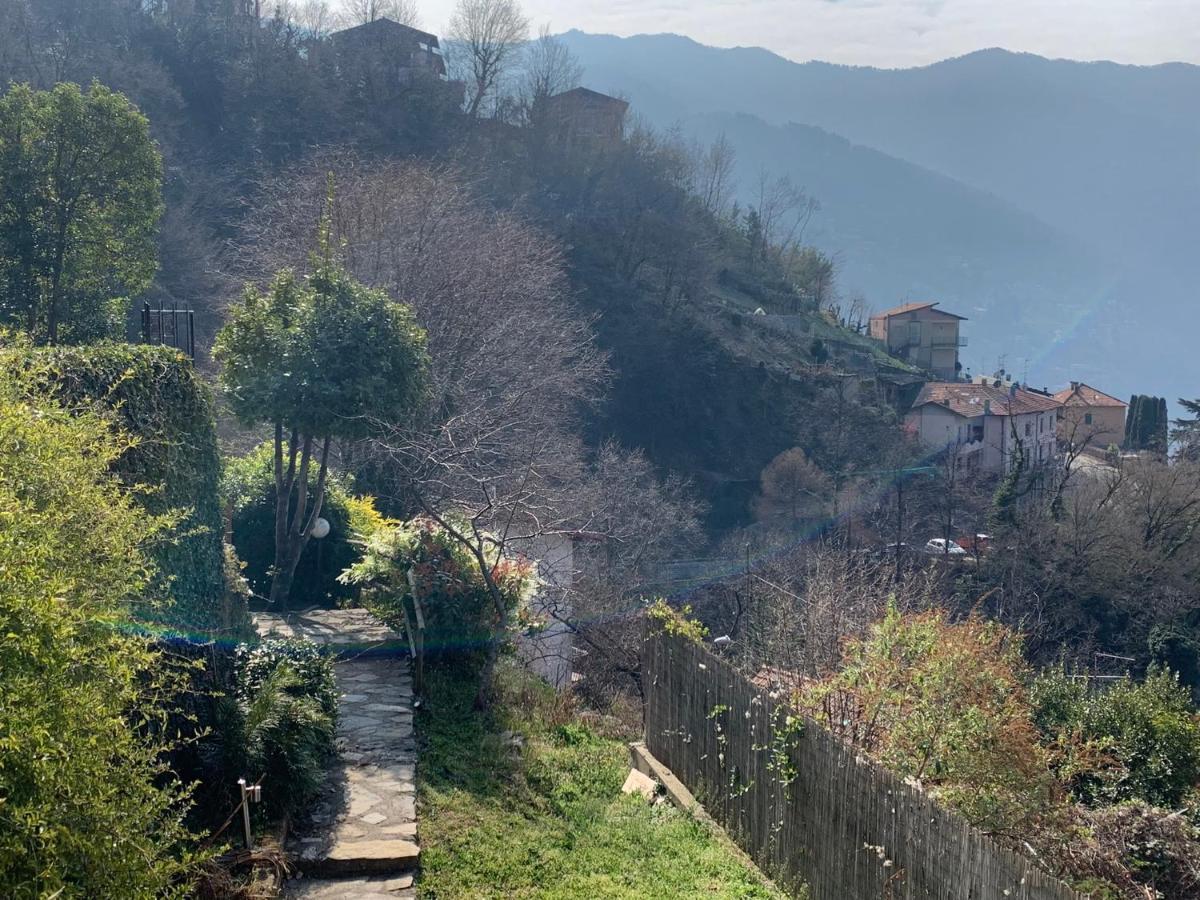 Apartment Casa Dono Il Lago Pognana Lario