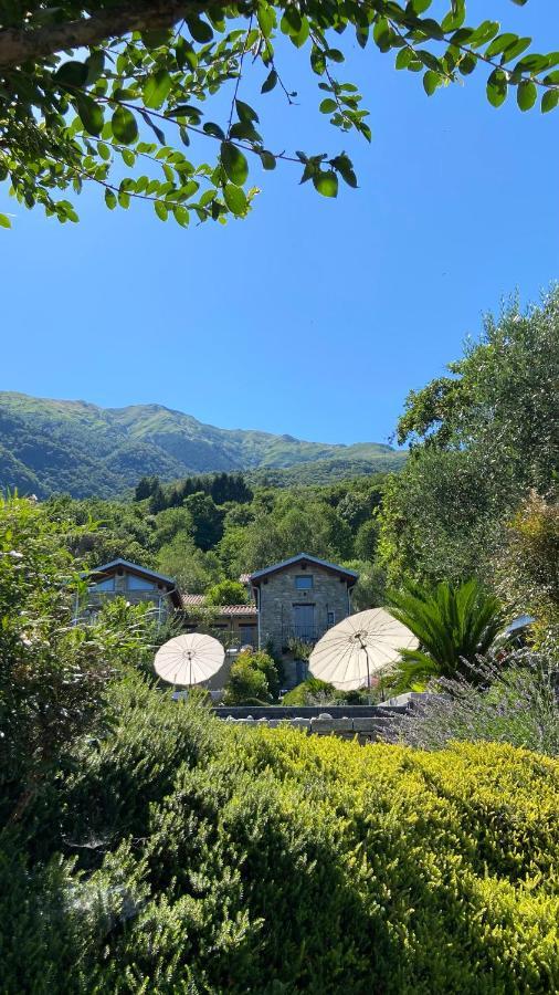 Treterre Farm stay