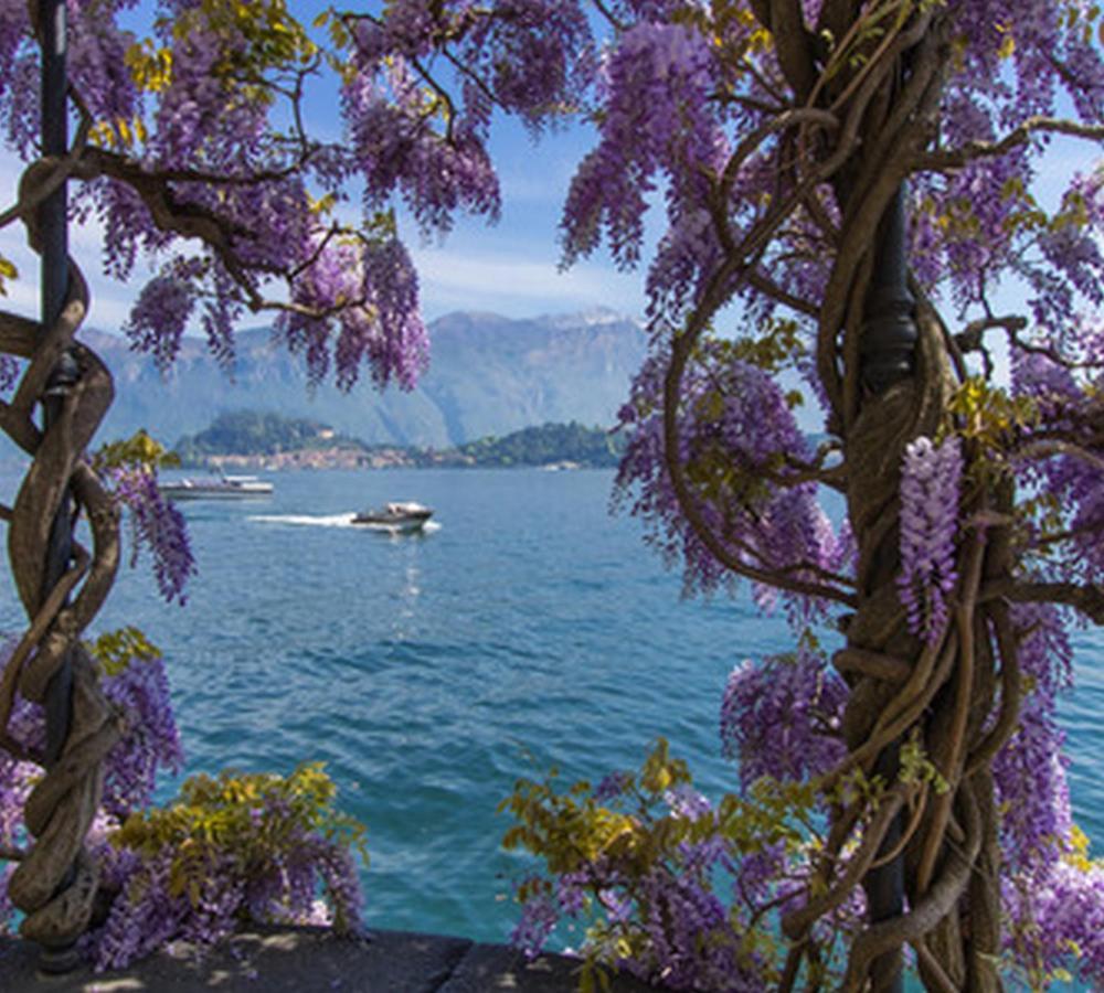 Dolce Fontana