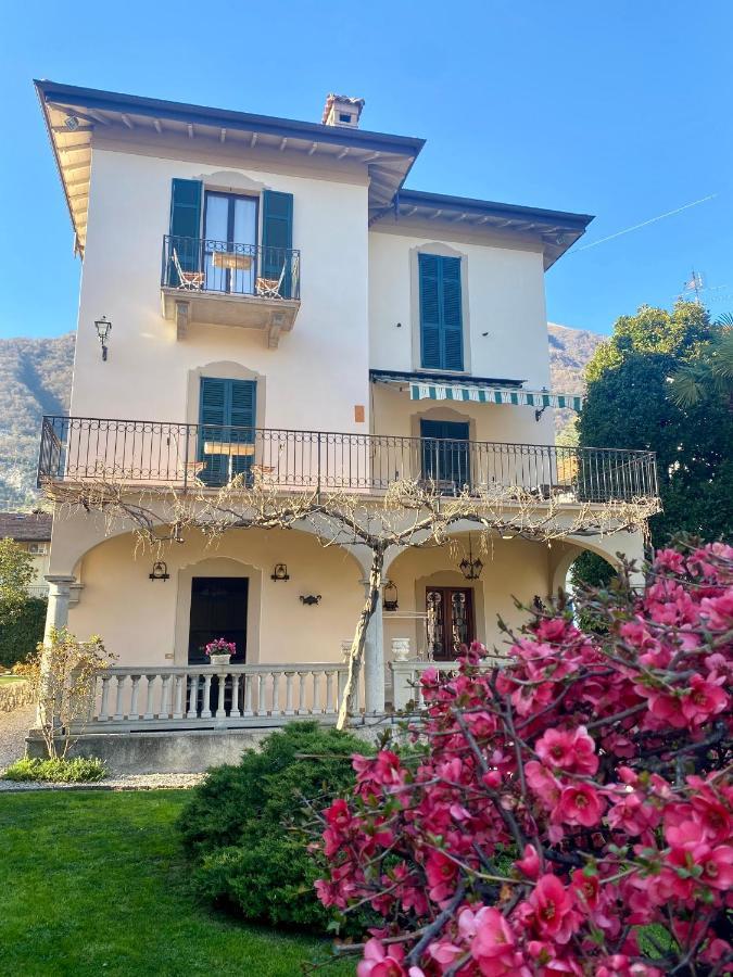 Apartment Magnolia - Lenno