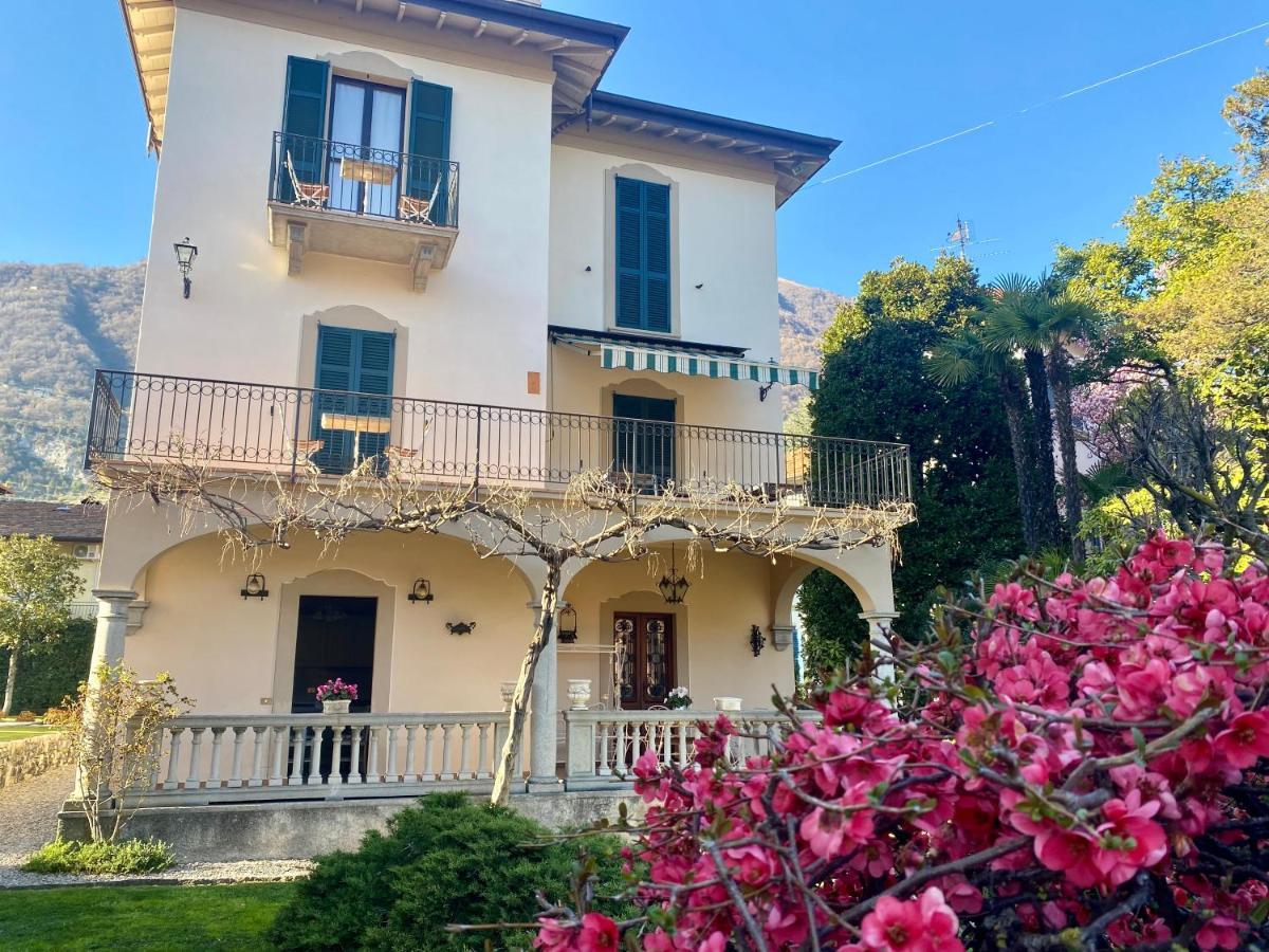 Apartment Magnolia -