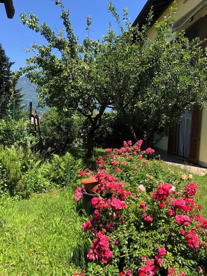 Apartment The Children Smile- With Private Garden Colico