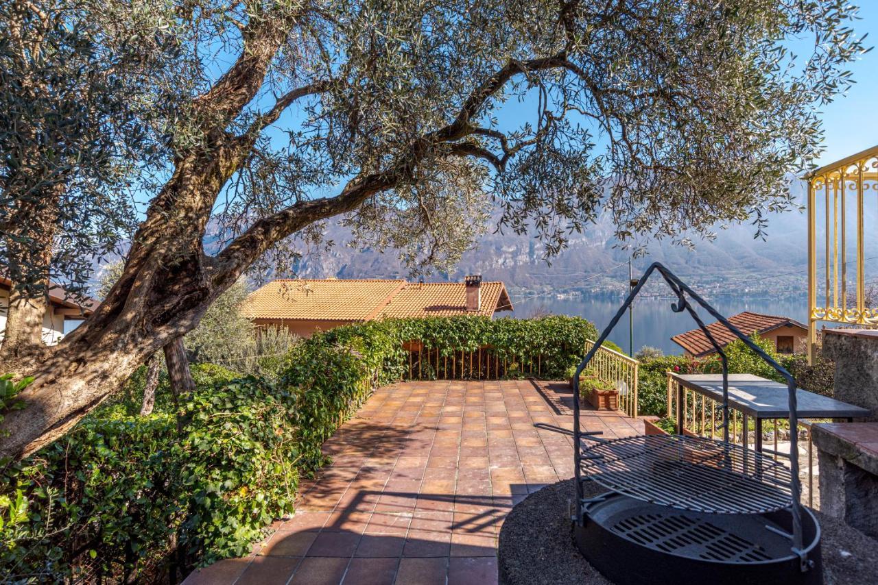 Lake View With Terrace * Limonta