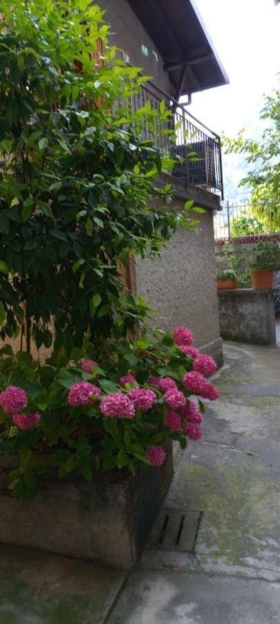 La Casetta Di Vassena Holiday home Oliveto Lario