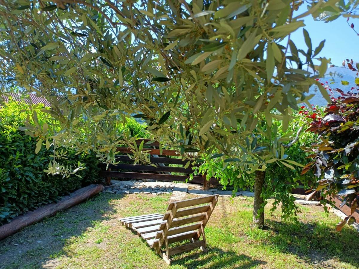 Rosina House E Guest house *