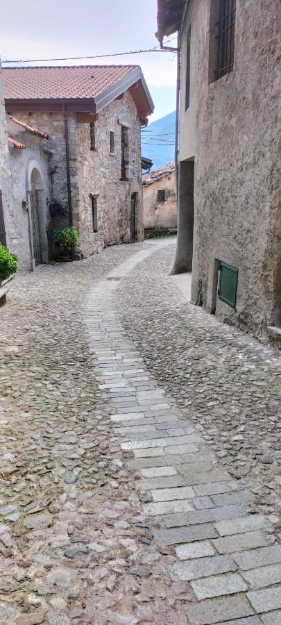 Ferienhaus La Cascina Della Vigna Del Viandante