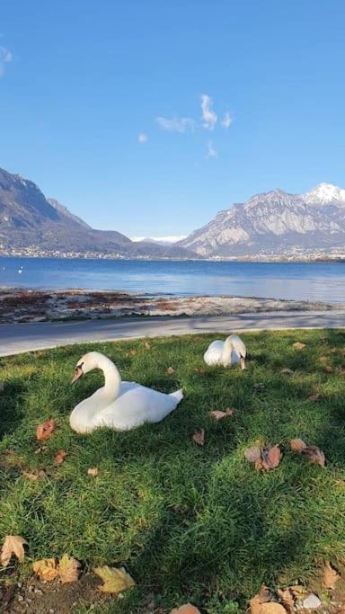 Il Cortiletto 2 Bed & Breakfast