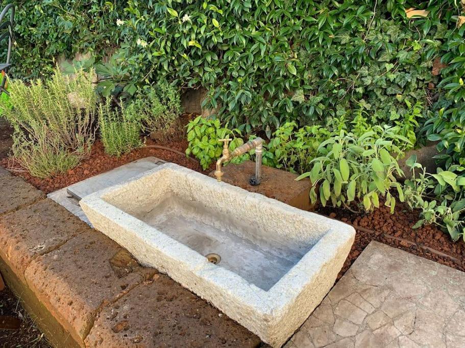 La Bolvedrina - Tranquil Garden 200mt To And Services Apartment Tremezzo
