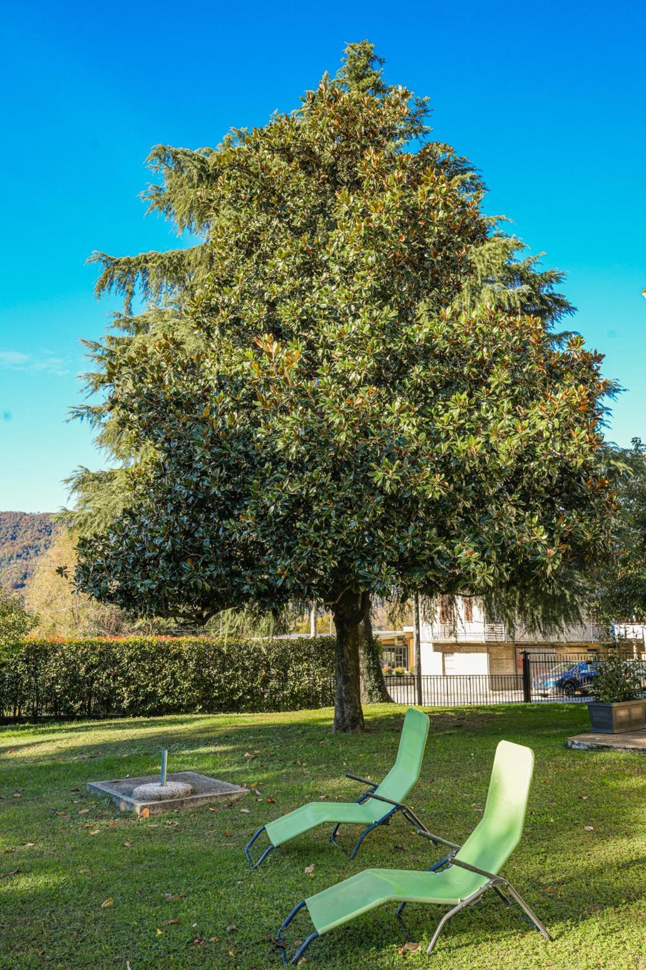 Ferienhaus La Magnolia