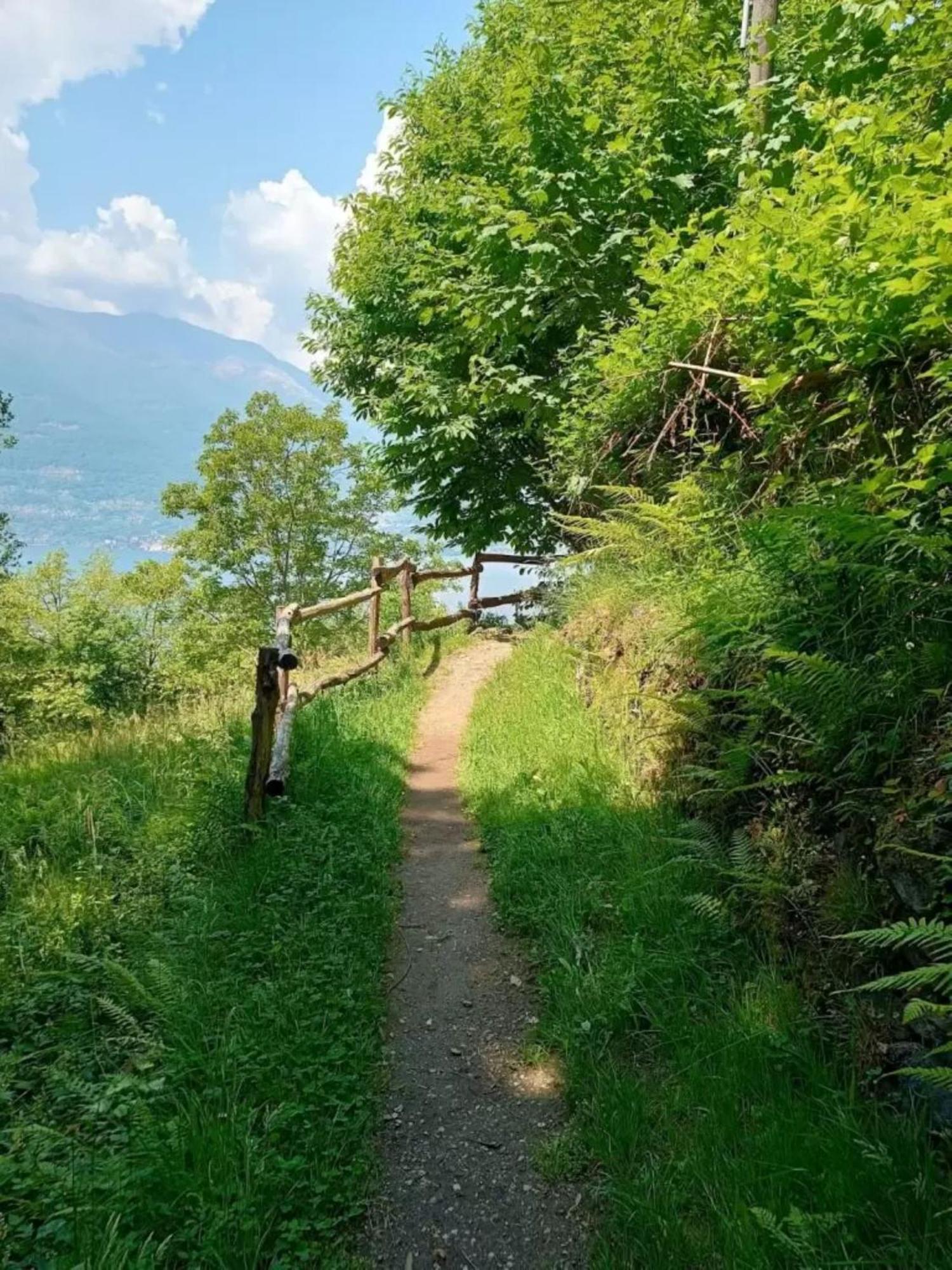 Appartamento Rosi Lierna
