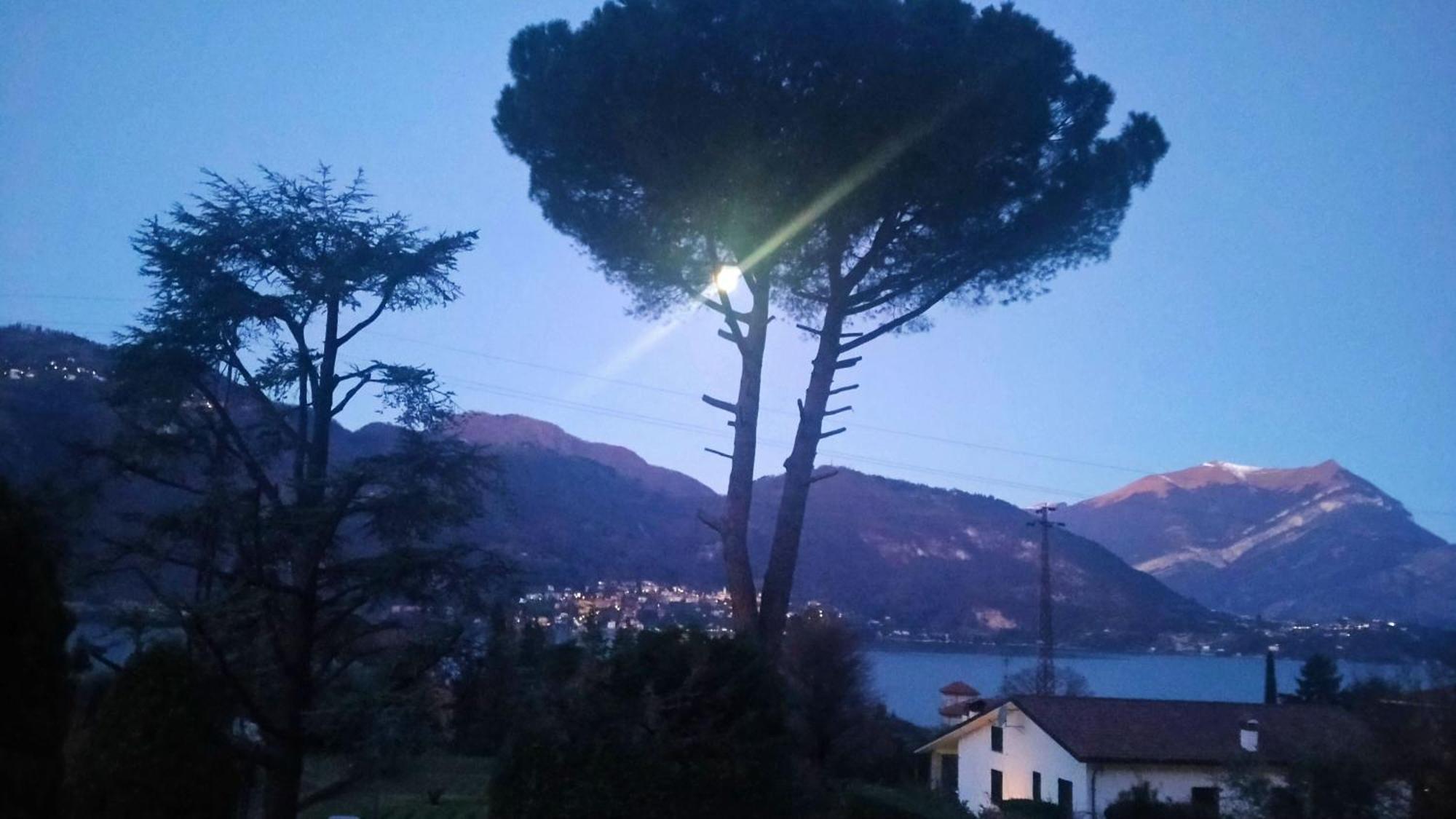 Rosi Lierna