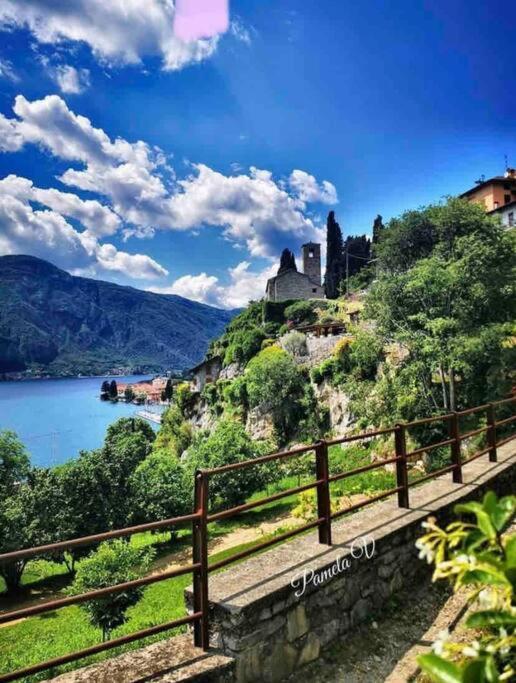 La Casa Del Pino A Due Passi Dal