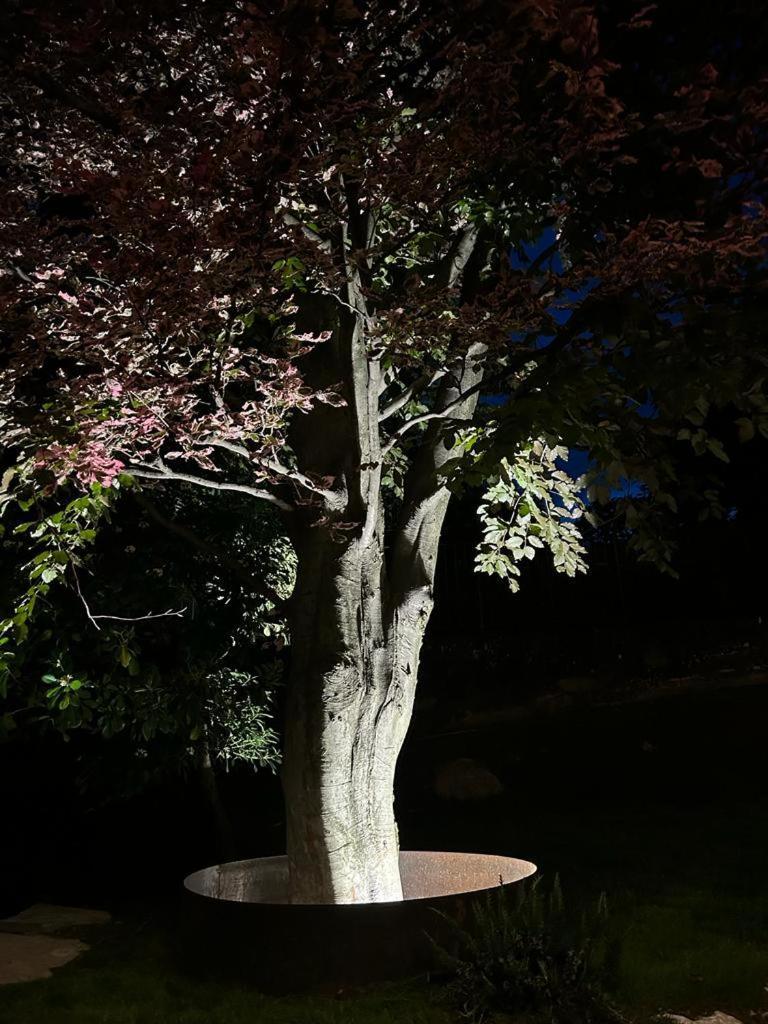 Holiday home I Faggi Rossi - Red Beech Trees Como