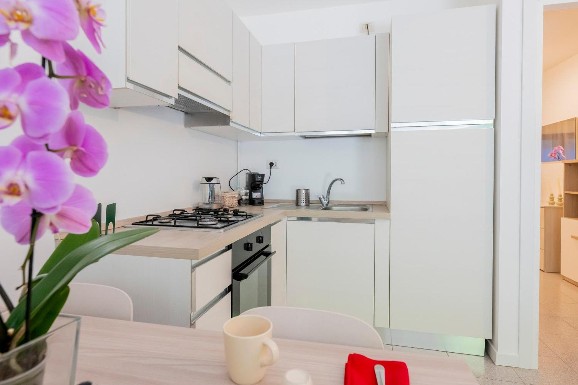 Apartment Gelsi