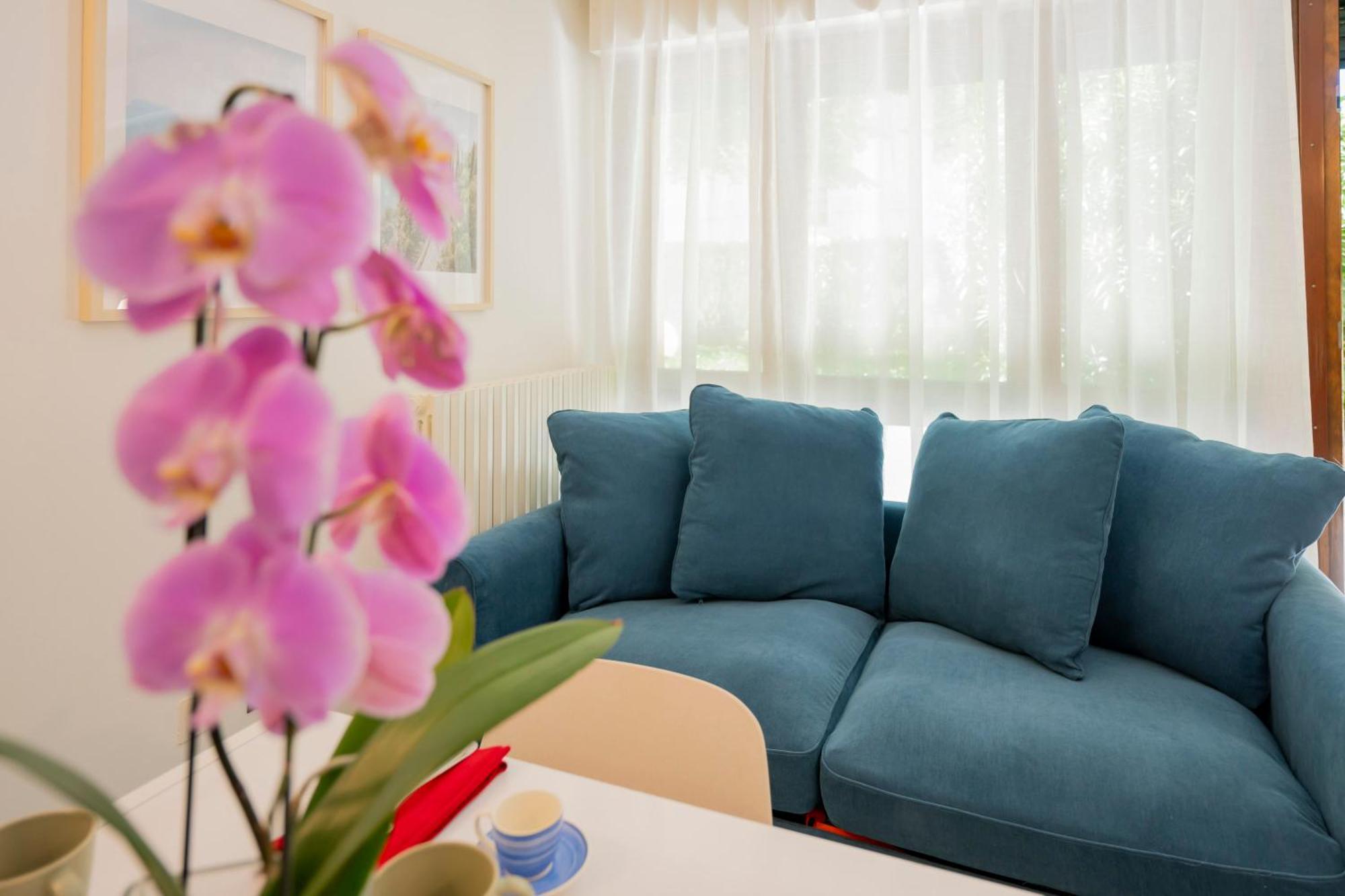 Apartment Gelsi *